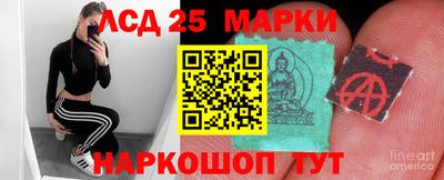 мдпв Новозыбков
